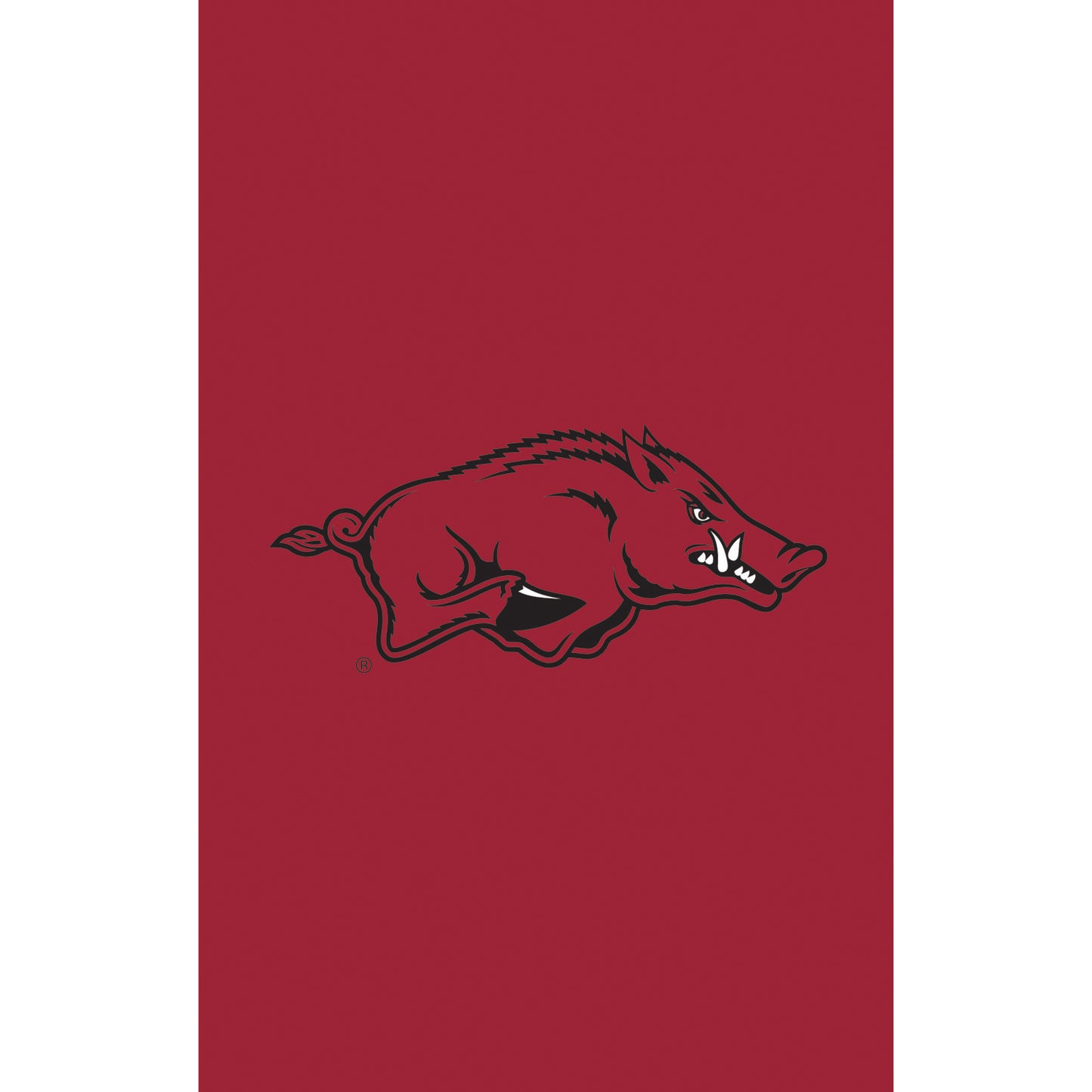 University of Arkansas (Razorback) BIG House Flag